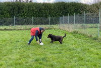 Annick Raoul joue avec un chien dans sa pension canine