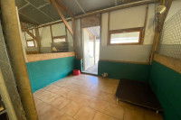 Un boxe de pension canine