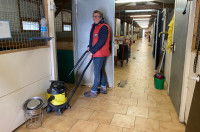 Nettoyage des boxes d'une pension canine