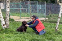 Annick Raoul fait un calin à un chien marron