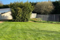 Parc de pension canine