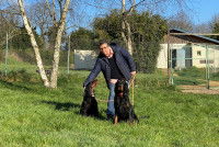 Annick Raoul et 2 Setter Irlandais dans sa pension canine