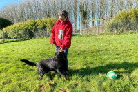 Annick Raoul fait un câlin à un chien dans sa pension canine