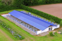 Les boxes d'une pension pour chiens