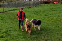 Annick Raoul promène 2 chiens dans sa pension canine