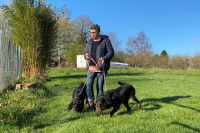 Annick Raoul et 2 Setter Irlandais