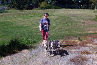 Annick Raoul promène 3 Lévriers