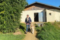 Annick Raoul promène un Labrador dans sa pension