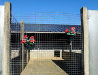 Un box de la pension pour chien Abridog