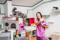 Une femme dans une pension pour chats avec trois chats