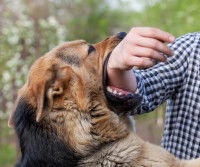 Vous arrive-t-il d’échouer ?