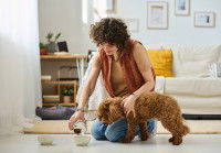Une femme versant des croquettes dans le bol d'un chien qui se tient à côté d'elle