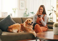 Une femme assise sur un canapé et regardant son portable avec un chien allongé à côté d'elle