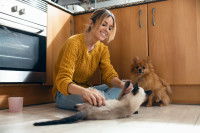 Une femme assise dans une cuisine à côté d'un chien et jouant avec un chat
