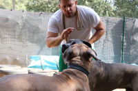 Séance d'éducation avec Éric Tramson