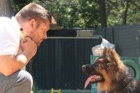 Éric Tramson et un chiot Berger Allemand en formation