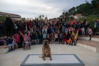 Des personnes autour d'un chien