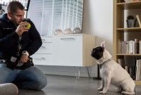 Eric Tramson s'apprêtant à donner une balle à un Bouledogue Français