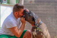 L'éducateur canin Eric Tramson met son visage dans la gueule d'un chien