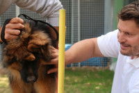 Éducation d'un chiot par Eric Tramson