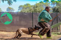 Séance de mordant avec Eric Tramson