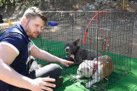 Eric Tramson et deux chiens dans une cage