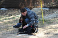 Eric Tramson en pleine séance d'éducation canine avec deux chiens