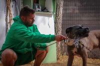 Eric Tramson arrose un chien