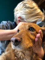 Une technique de compression de l'os temporal