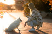 Un chien assis qui donne la patte à sa maîtresse accroupie devant lui