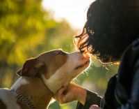 Une personne dans la nature qui fait un bisou à son chien en lui tenant le cou