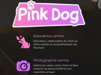 Une capture d'écran du site internet de Pink Dog