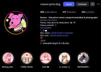 Une capture d'écran du compte Instagram de Pink Dog