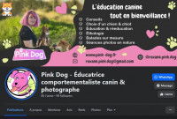 Une capture d'écran de la page Facebook Pink Dog