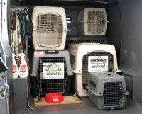 L'intérieur du taxi animalier d'Olivier Morin