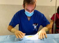 Un chirurgien vétérinaire ganté et masqué intervenant sur un animal caché sous un champ stérile