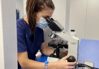 Une vétérinaire masquée examine un échantillon penchée sur un microscope binoculaire dont elle ajuste la mise au point