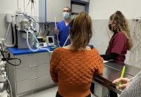 Séance de formation de personnels vétérinaires à l'utilisation du matériel