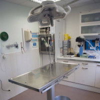 Une salle d'examen et d'opération au sein d'une clinique vétérinaire