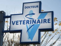 Un panneau signalétique de vétérinaire