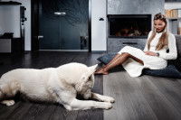 Une femme assise dans son salon avec son chien