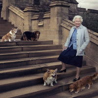 La reine Elizabeth II debout sur un escalier à côté ses Corgis