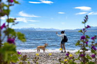 Un homme jouant avec son chien au bord de l'océan