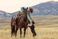 Un cow-boy sur son cheval et en train de caresser un chien