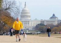 Une personne en train de promener son chien sur le National Mall à Washington DC, avec le Capitole en arrière-plan