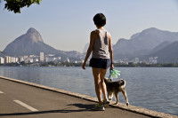 Une personne en train de promener son chien en laisse au bord de l'océan à Rio de Janeiro (Brésil)