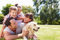 Les membres d'une famille jouant avec leur chien dans un jardin