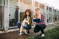 Une jeune femme avec une employée d'un refuge, en train de choisir un chien à adopter
