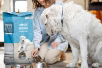 Une femme nourrissant un chien avec de la nourriture sèche dans le salon de sa maison
