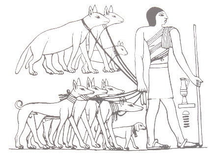 Représentation probable de Tesem retrouvée sur le tombeau de Ptah Hotep à Saqqarah